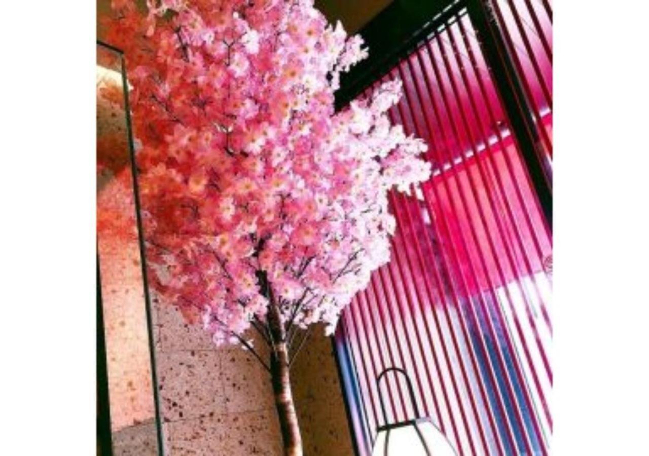 Sakura Sky Hotel - Vacation Stay 18444V Präfektur Tokio Exterior foto